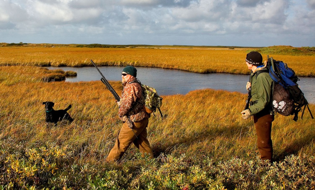 What are the types of hunting land?