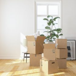 Removalists From Sydney To Wollongong – Making The Right Choice By Checking Out Recommendations